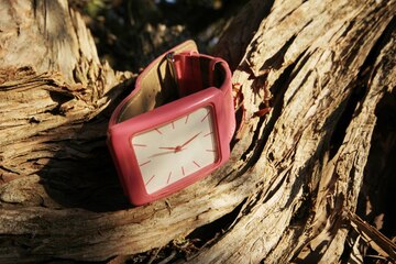 Montre en bois